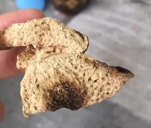 88d932f684bc8ae110fea01d6413dcd1.jpg www.clwjbcxs.com 新會陳皮20170302175943.jpg