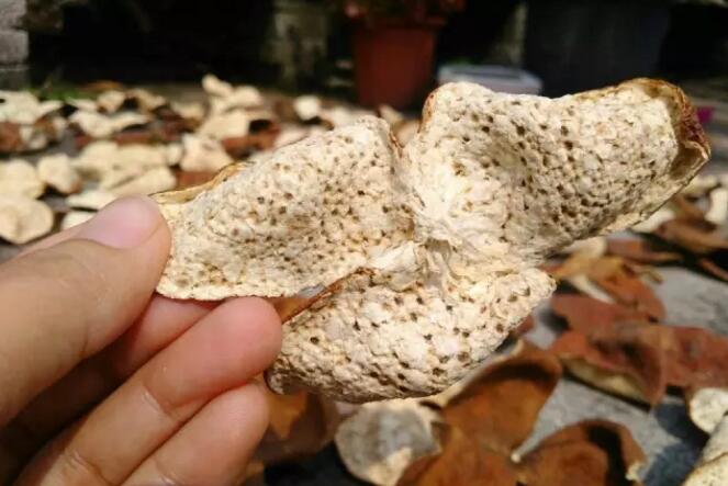 19a1162d623e234cb248e55cfc08020b.jpg QQ截圖20170517094658.jpg