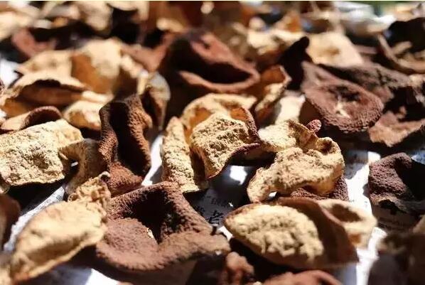 48403f39f4471a5f1a8d951c944f1ea0.jpg www.clwjbcxs.com新會陳皮網20160928144156.jpg