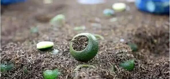 048dd85a78db552d8c2b921f950f3646.jpg www.megood.cn20170831145607.jpg