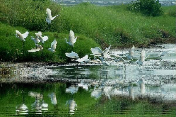 0b9a5aec19b0f9425836c9879e56b47e.jpg QQ截圖20170908094500.jpg