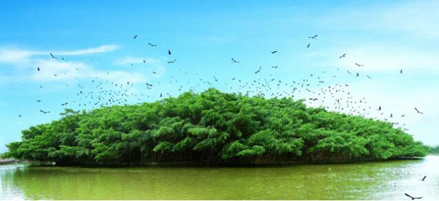 3496f78ec8d612793188a71e61f35391.jpg QQ截圖20170908094445.jpg