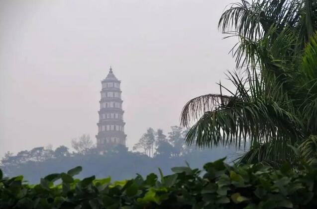 cd4cd47119f0b1b172290a1495aa9985.jpg QQ截圖20170908093656.jpg