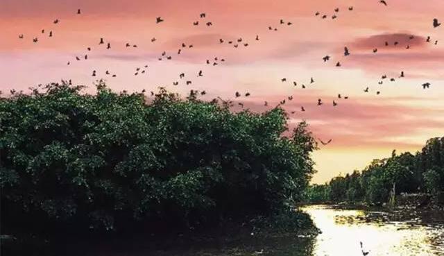 f9356b849b8603d946d75cfec8e389b5.jpg QQ截圖20170908094509.jpg