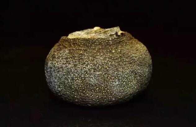 04b6e7c36e6bc96f21ff71a13bdd261a.jpg QQ截圖20171023094237.jpg