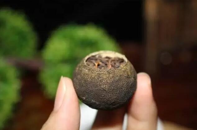 1358ff1df7f6c32dd48061189b55c580.jpg QQ截圖20171023094317.jpg