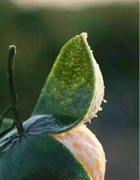 8a6c355138a20c9dddc9c4dca148fd7d.jpg QQ截圖20171025093614.jpg