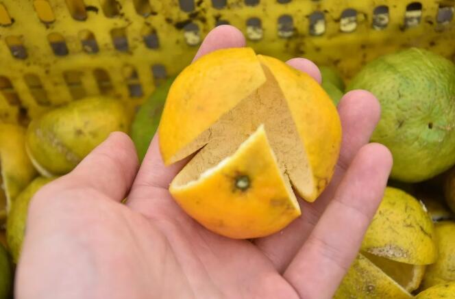 1811a67521dc1c1b0ec94ec8aef5d9bf.jpg QQ截圖20171115094337.jpg