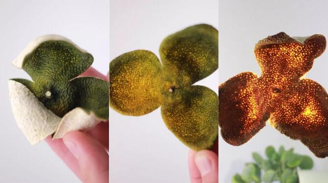 c471793a5762e3d3492bcc52f67d0091.jpg QQ截圖20171115094329.jpg