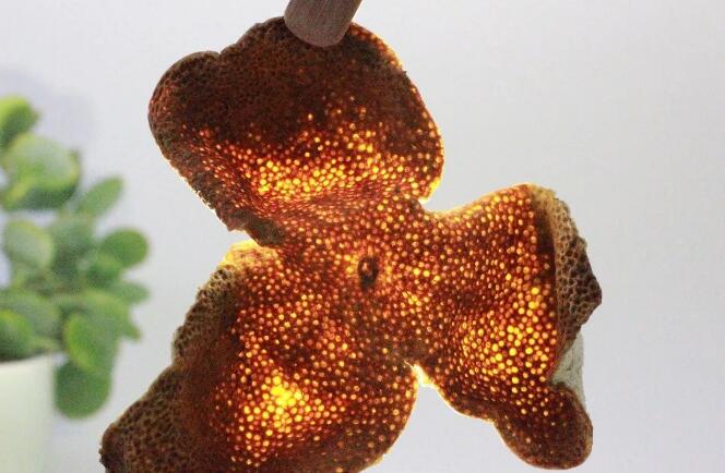 f887d8d26a57bd40d268fad6641160a4.jpg QQ截圖20171115094501.jpg