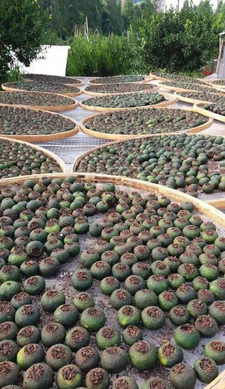 8af96a1de4af0599188f4456efcef9ed.jpg 9c15183dgy1fhhc6pt5p4j20k00zk49q.jpg