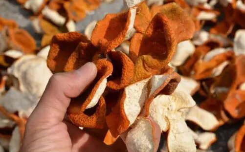 b41dc8b1c87f695fe1f94b20889a5fb1.jpg 006gKt8Qzy79MDAbQOu92.jpg