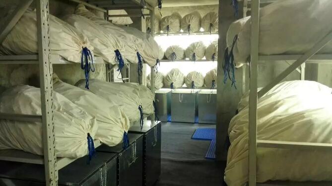 ca122c0800d143bed24ca6e4d4568e36.jpg www.clwjbcxs.com 陳皮之家20180303142312.jpg