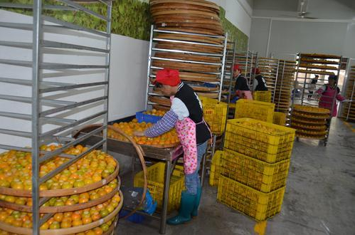 5f2a011f38cfb55a2197c041e33e509c.png www.clwjbcxs.com 陳皮之家20180308150331.png