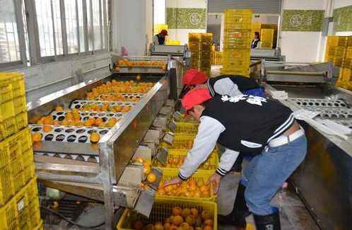 b1a677365d5b6c13644a56ad59ff5e14.png www.clwjbcxs.com 陳皮之家20180308150312.png