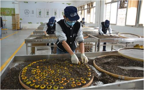 ce5213b117f33b571fdd078fae76777b.png www.clwjbcxs.com 陳皮之家20180308150347.png