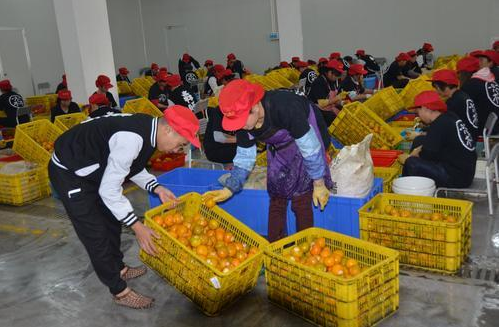 d81d6d4e4cc562eb49e1a82660741505.png www.clwjbcxs.com 陳皮之家20180308150256.png