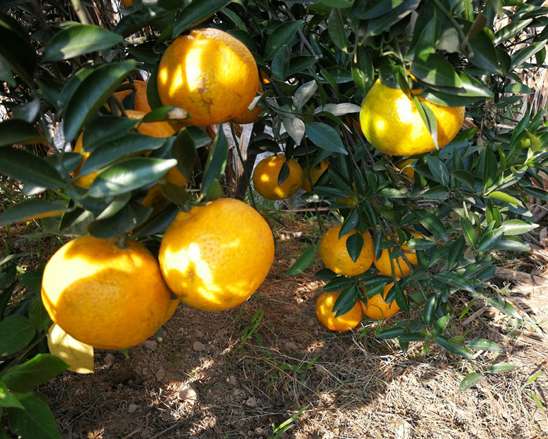 f0d67de0204896aec6d87caef1f3f5d3.jpg f0d67de0204896aec6d87caef1f3f5d3.jpg