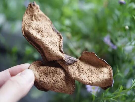 f0151009206968ffdde6a4882eb19558.jpg www.clwjbcxs.com 陳皮之家20180425094538.jpg