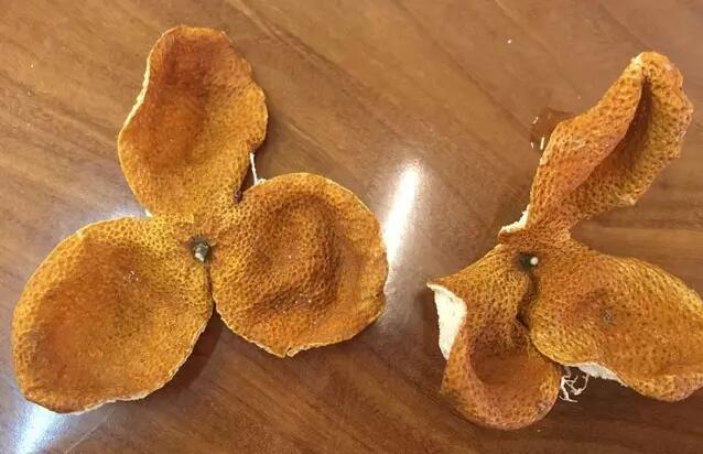 774af021876943569bd53bb03675e6f8.jpg bc622065ebb3389ce68836fc9ac8a3ea.jpg