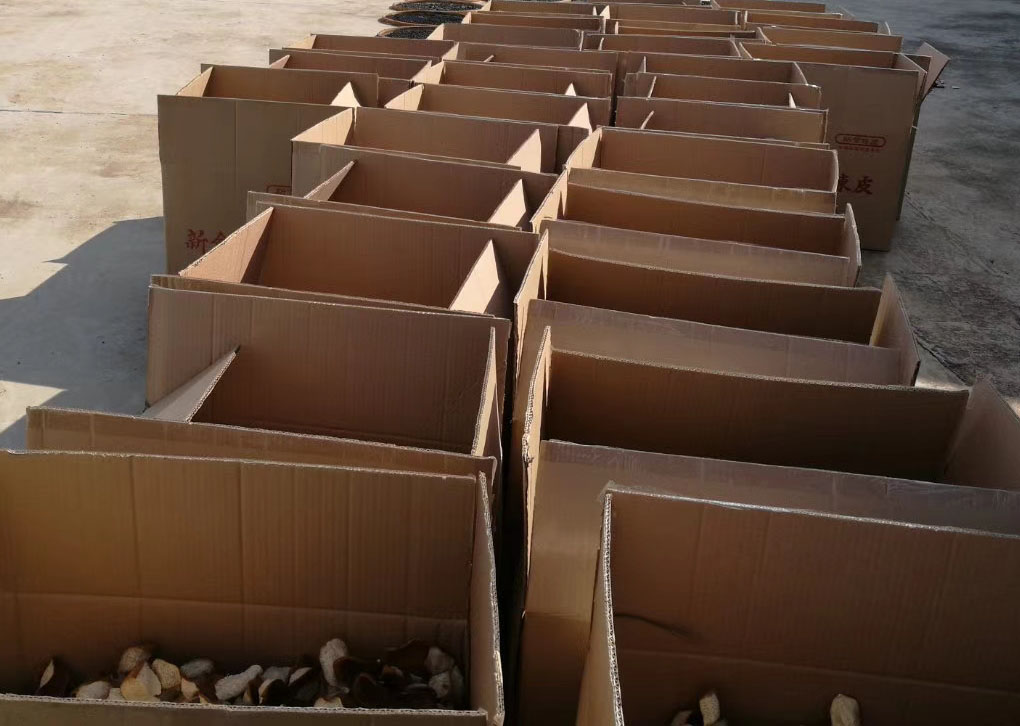 a6a5647a7bef4c8737b107e0c7e0ecbf.jpg 微信圖片_20180809143409.jpg