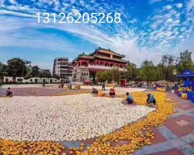 07302e4da7c2b4f4f40f2ce6ceb868ae.jpg 4e4058439071e68475acba8212d5613.jpg