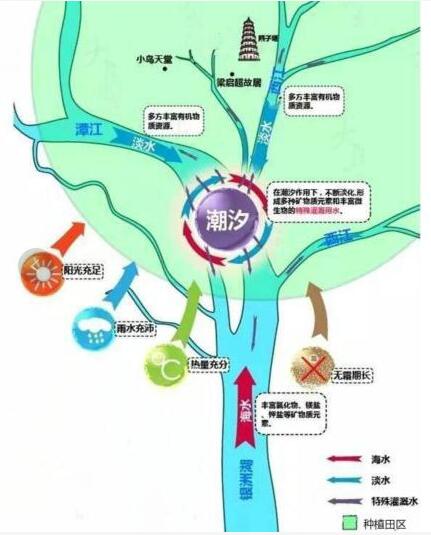 00bb18e687de644b88a72200d4692478.jpg www.clwjbcxs.com 陳皮之家20200609164456.jpg