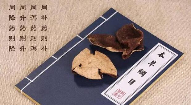 1cc53813d7c343a7c1c6fa8e6d693a3d.jpg www.clwjbcxs.com 陳皮之家20200609160052.jpg