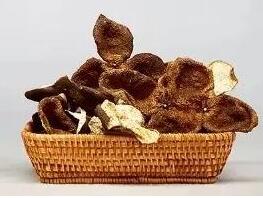 acc6e1f4a3cf8b662fd600570e3d1e15.jpg www.clwjbcxs.com 陳皮之家20200610131556.jpg