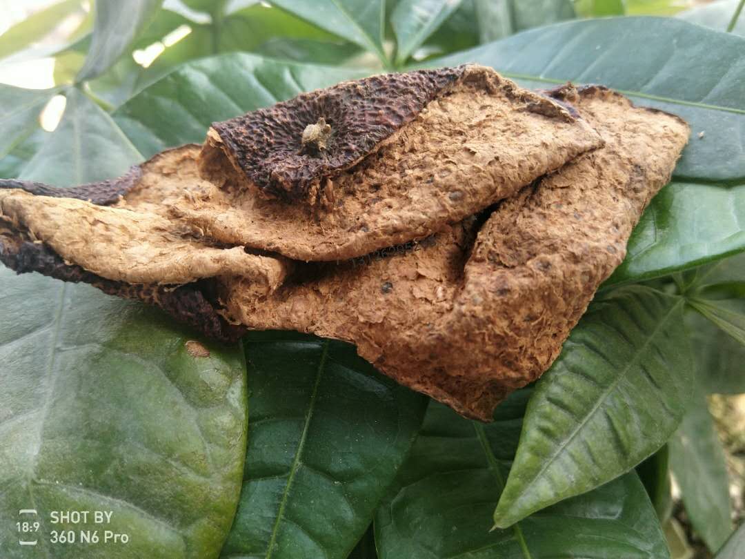 十五年新會(huì)陳皮