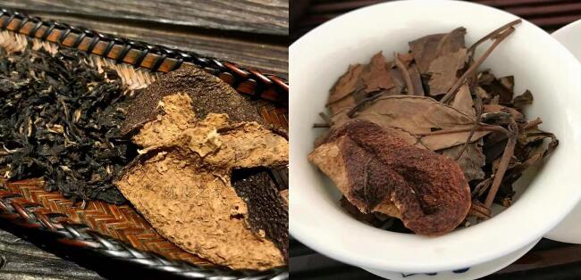 陳皮普洱茶&陳皮白茶