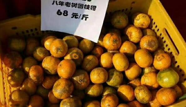 a969e166fdfa9634b3d125052c36a47f.jpg www.clwjbcxs.com 陳皮之家20200618150111.jpg