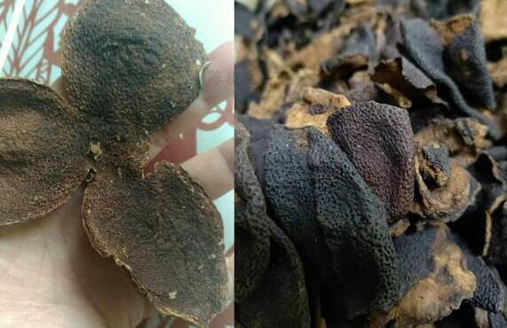 新會陳皮鑒別年份真假:如何辨別陳皮的質(zhì)量品質(zhì).jpg 新會陳皮鑒別年份真假:如何辨別陳皮的質(zhì)量品質(zhì).jpg