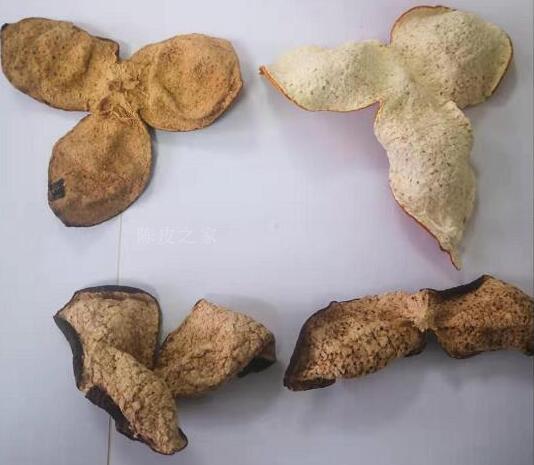 新會陳皮鑒別年份真假:如何辨別陳皮的質(zhì)量品質(zhì).jpg 新會陳皮鑒別年份真假:如何辨別陳皮的質(zhì)量品質(zhì).jpg