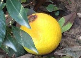 2c6ce62e8c03aeccff0981f6c412b313.jpg 01.jpg