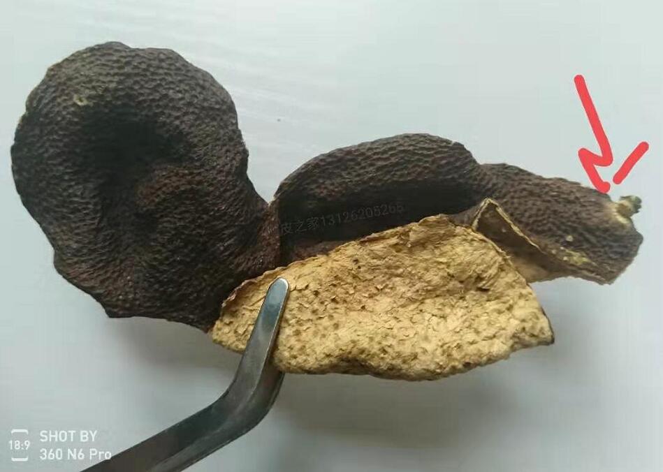 ce6c82e93486b62ebd09856e7884003d.jpg 02.jpg