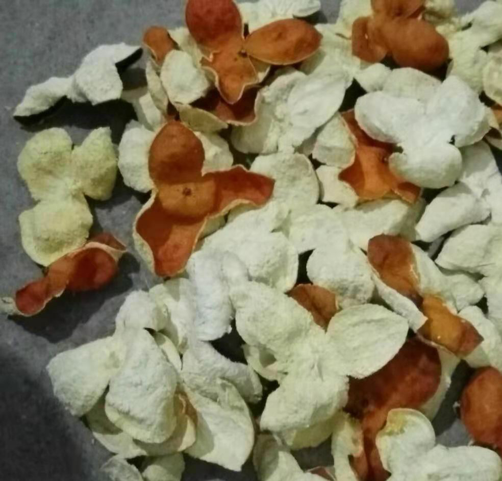 729c81a151ca8fa1d401d26081a30556.jpg 729c81a151ca8fa1d401d26081a30556.jpg