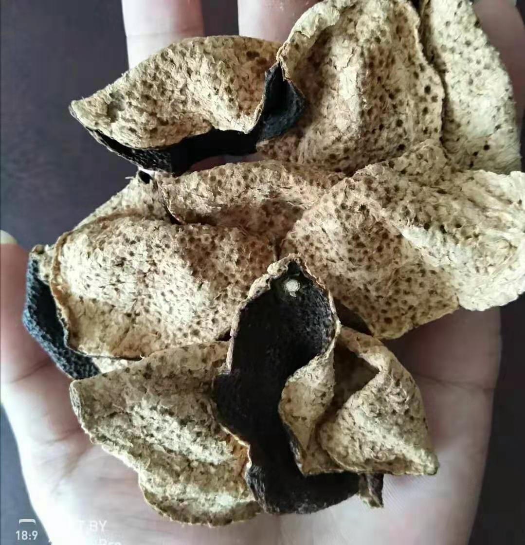 13bdb802bc3b7e85080c19af6a979a30.jpg 13bdb802bc3b7e85080c19af6a979a30.jpg