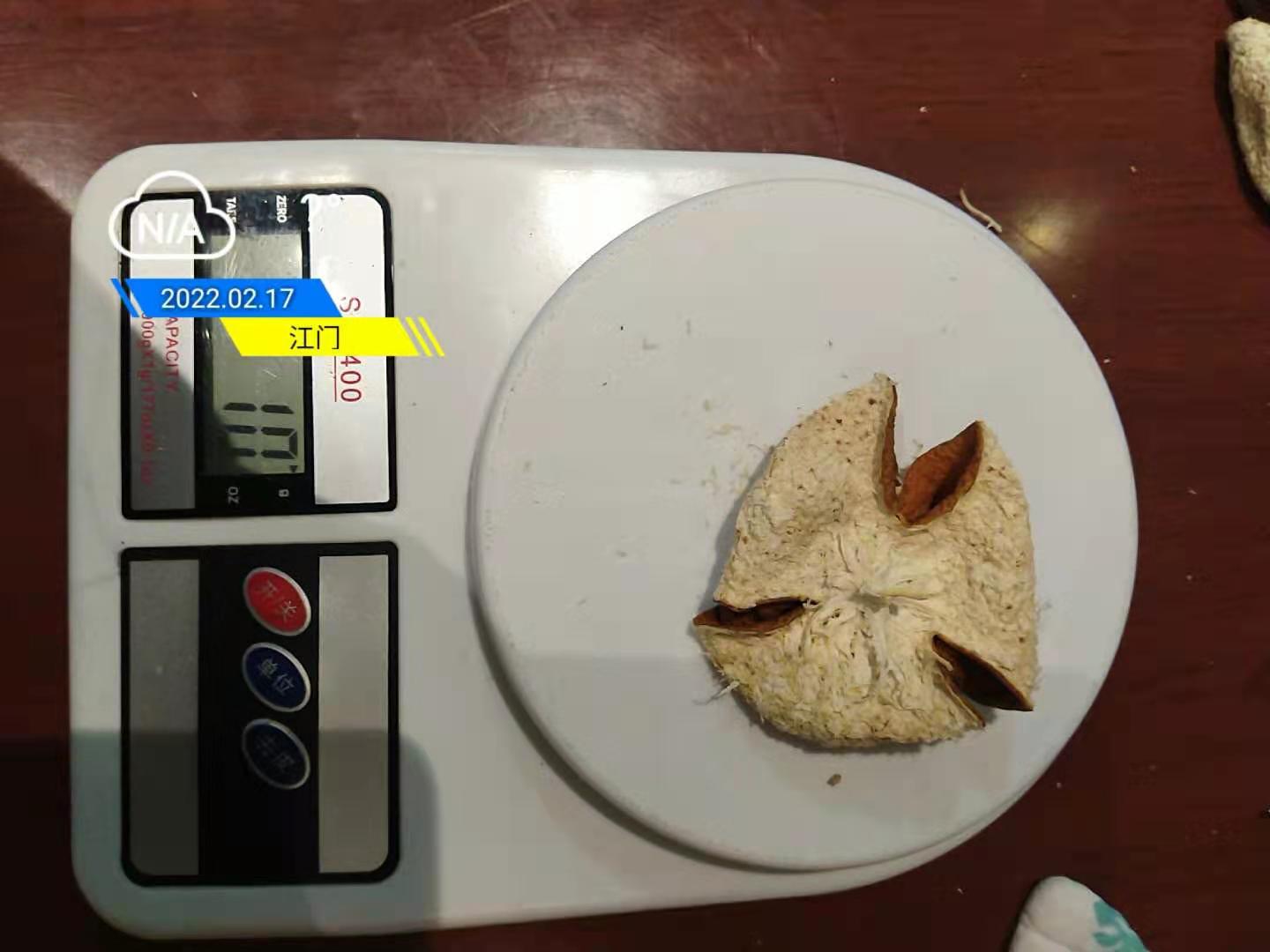 一片新皮的重量.jpg 一片新皮的重量.jpg