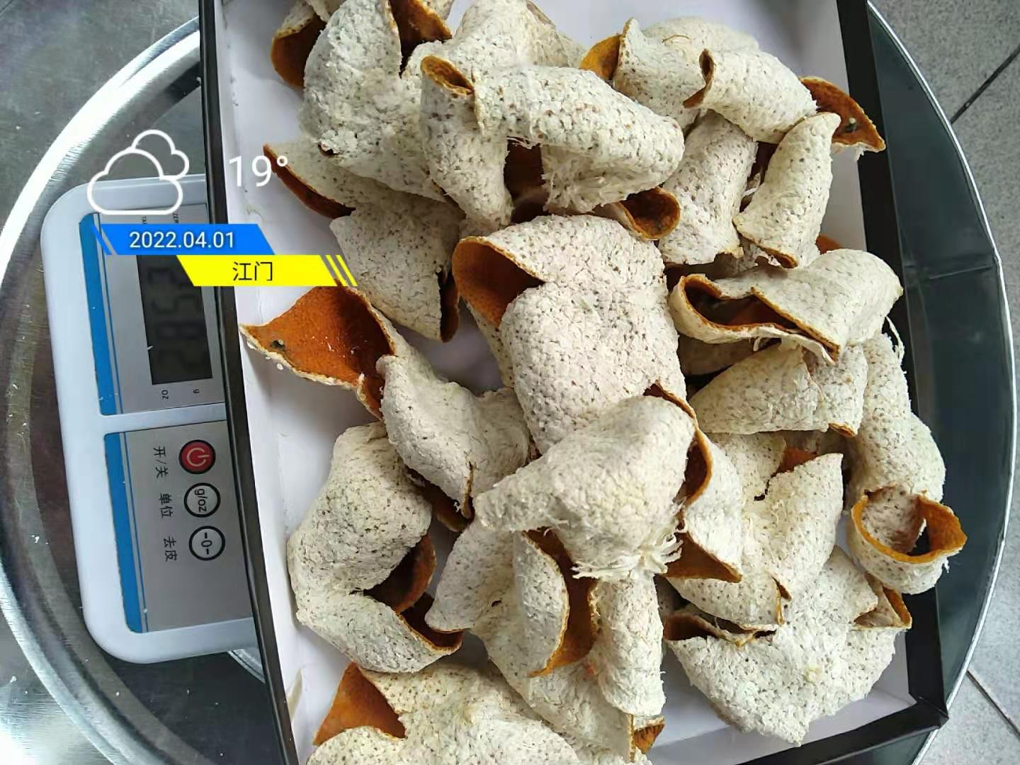 2021茶坑老樹皮.jpg 2021茶坑老樹皮.jpg