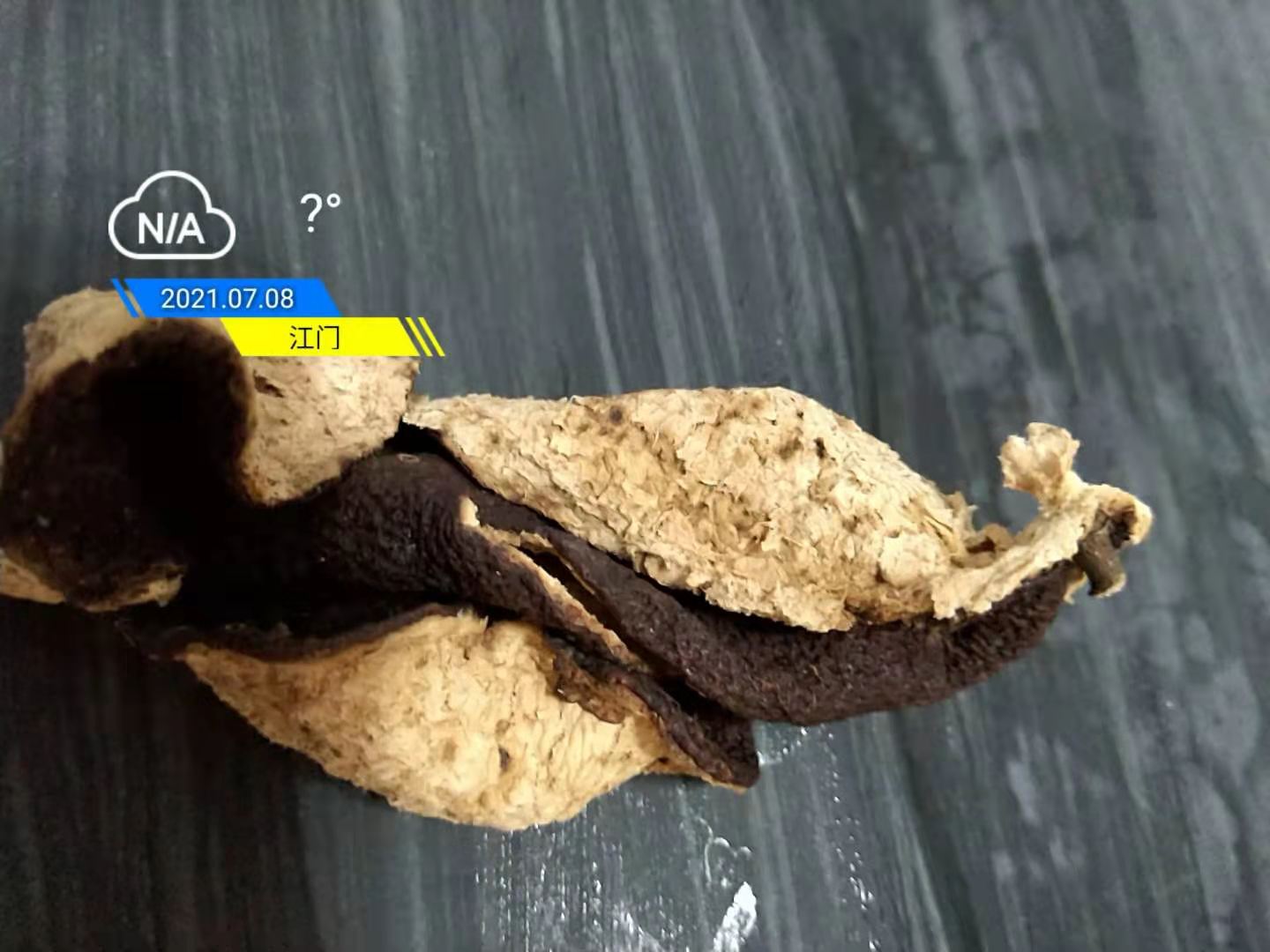 五年新會陳皮.jpg 五年新會陳皮.jpg