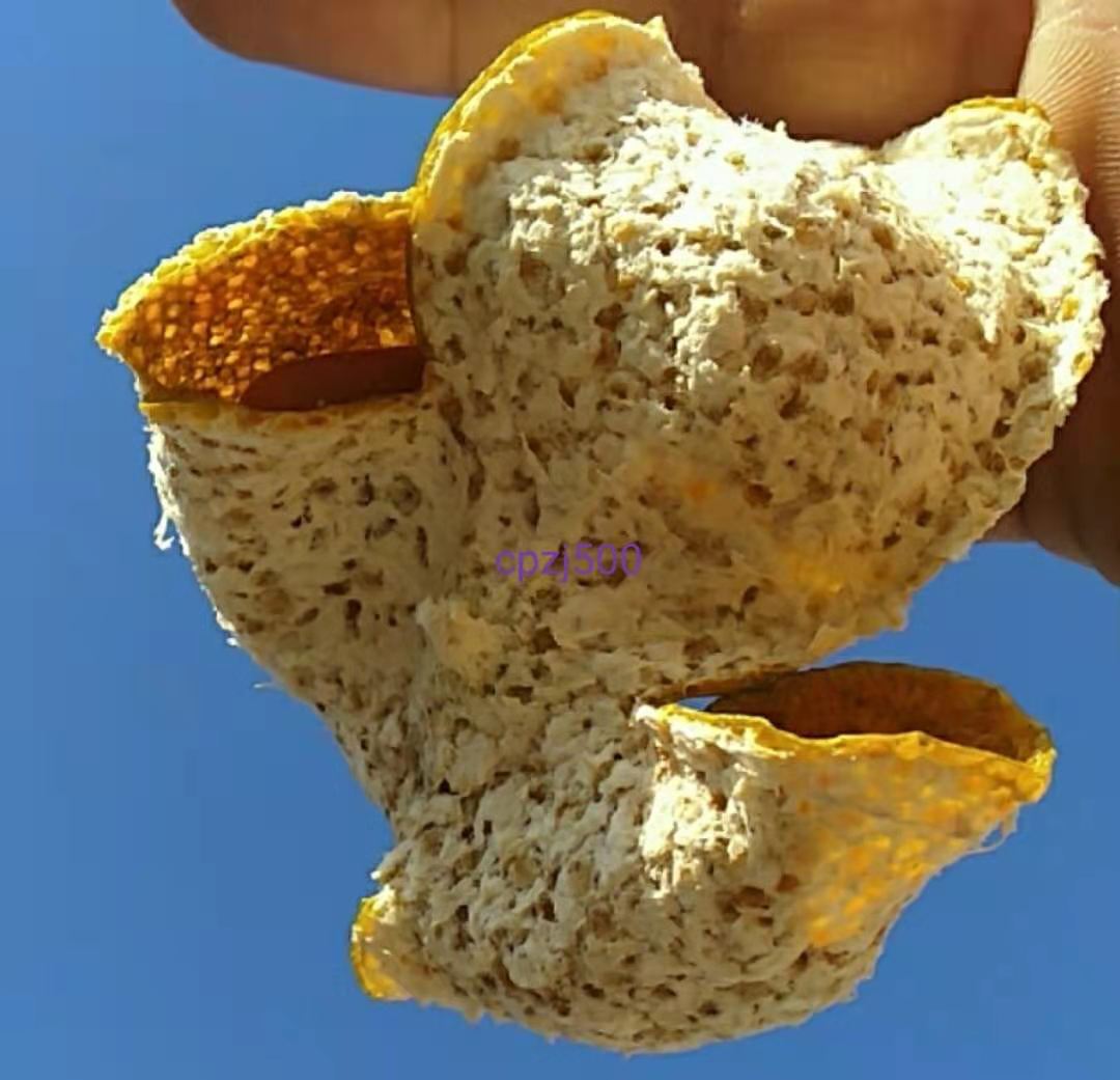 0b4a4694bd16dd029324406092ca3865.jpg 0b4a4694bd16dd029324406092ca3865.jpg