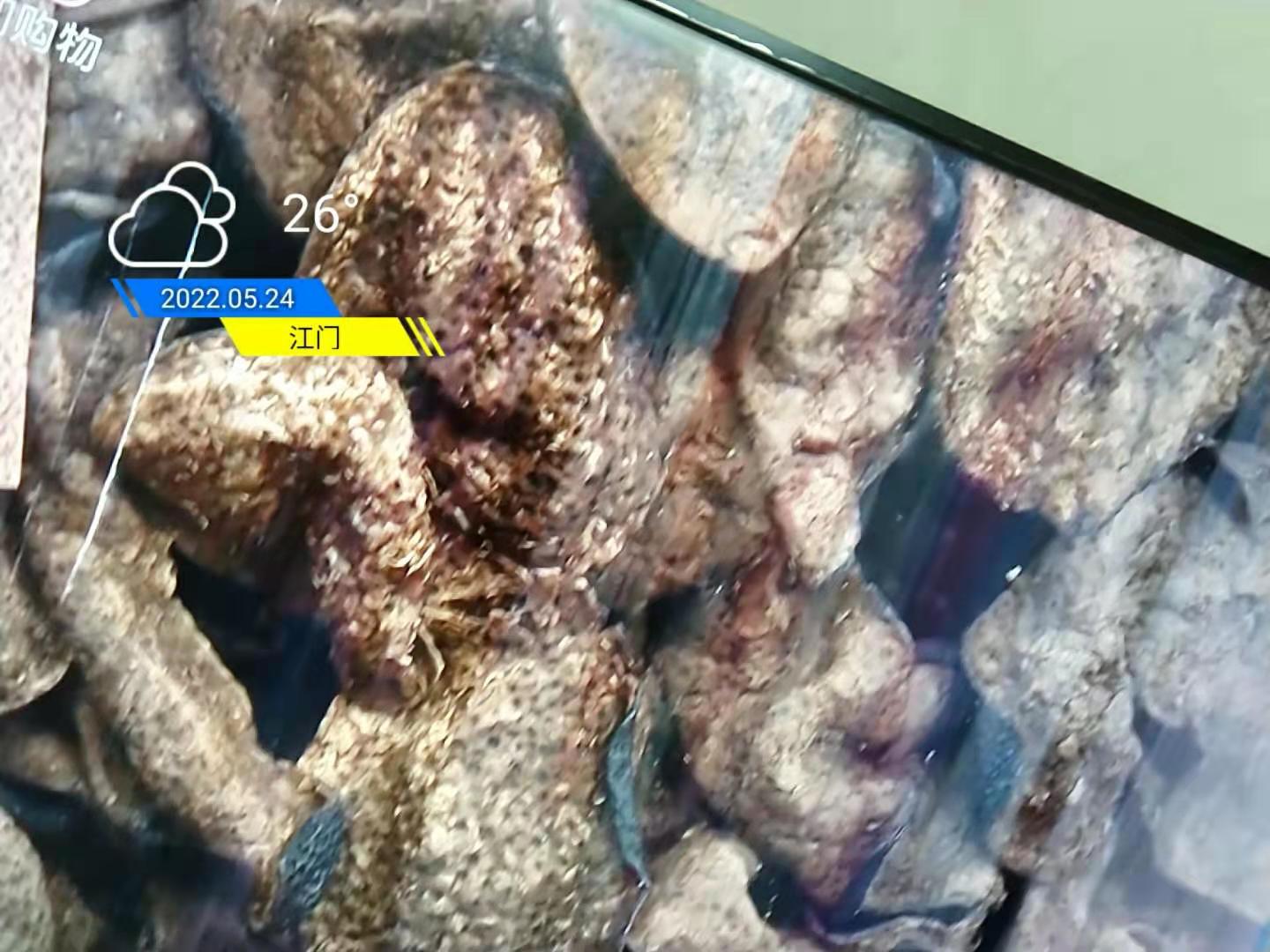 e1d1cfc1bc1de30c23c387f1f314e3ba.jpg e1d1cfc1bc1de30c23c387f1f314e3ba.jpg