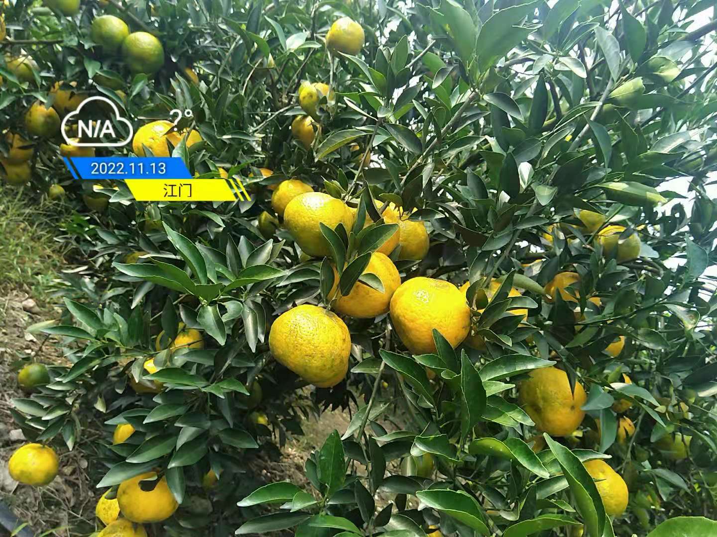 45e47c74c2c126f63a35ca0112116d25.jpg 45e47c74c2c126f63a35ca0112116d25.jpg