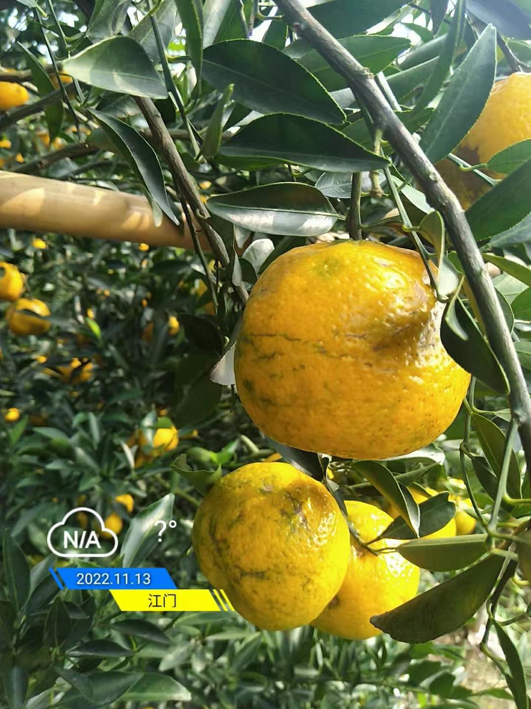 50eeeeb6b17f1964861ceed101c8afa3.jpg 50eeeeb6b17f1964861ceed101c8afa3.jpg