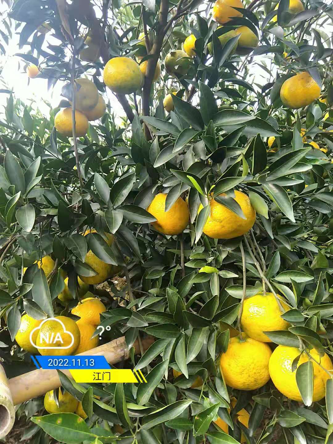 68a4b240631632e154a3f62467823f27.jpg 68a4b240631632e154a3f62467823f27.jpg