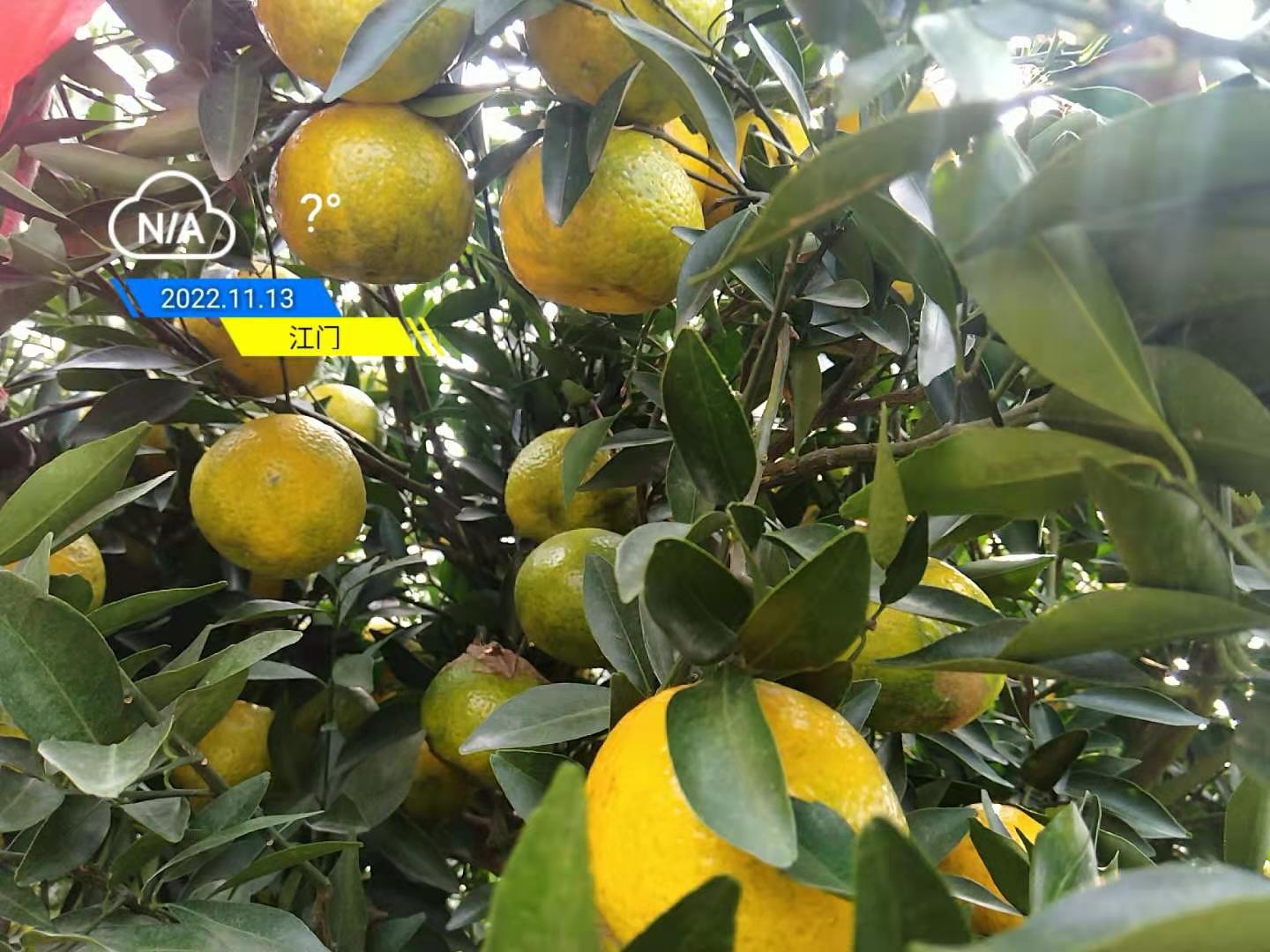 8e19fe1fdb217a552538b1ca85cc49c4.jpg 8e19fe1fdb217a552538b1ca85cc49c4.jpg