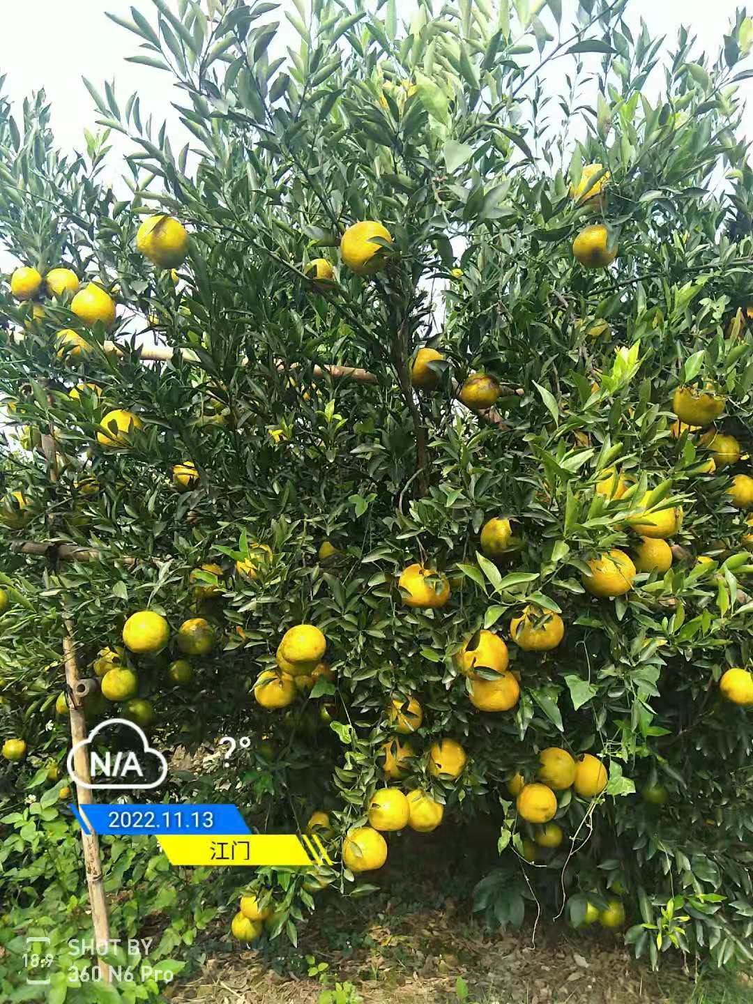 97df0fb6539b62d4cac5e3bbecb6d065.jpg 97df0fb6539b62d4cac5e3bbecb6d065.jpg