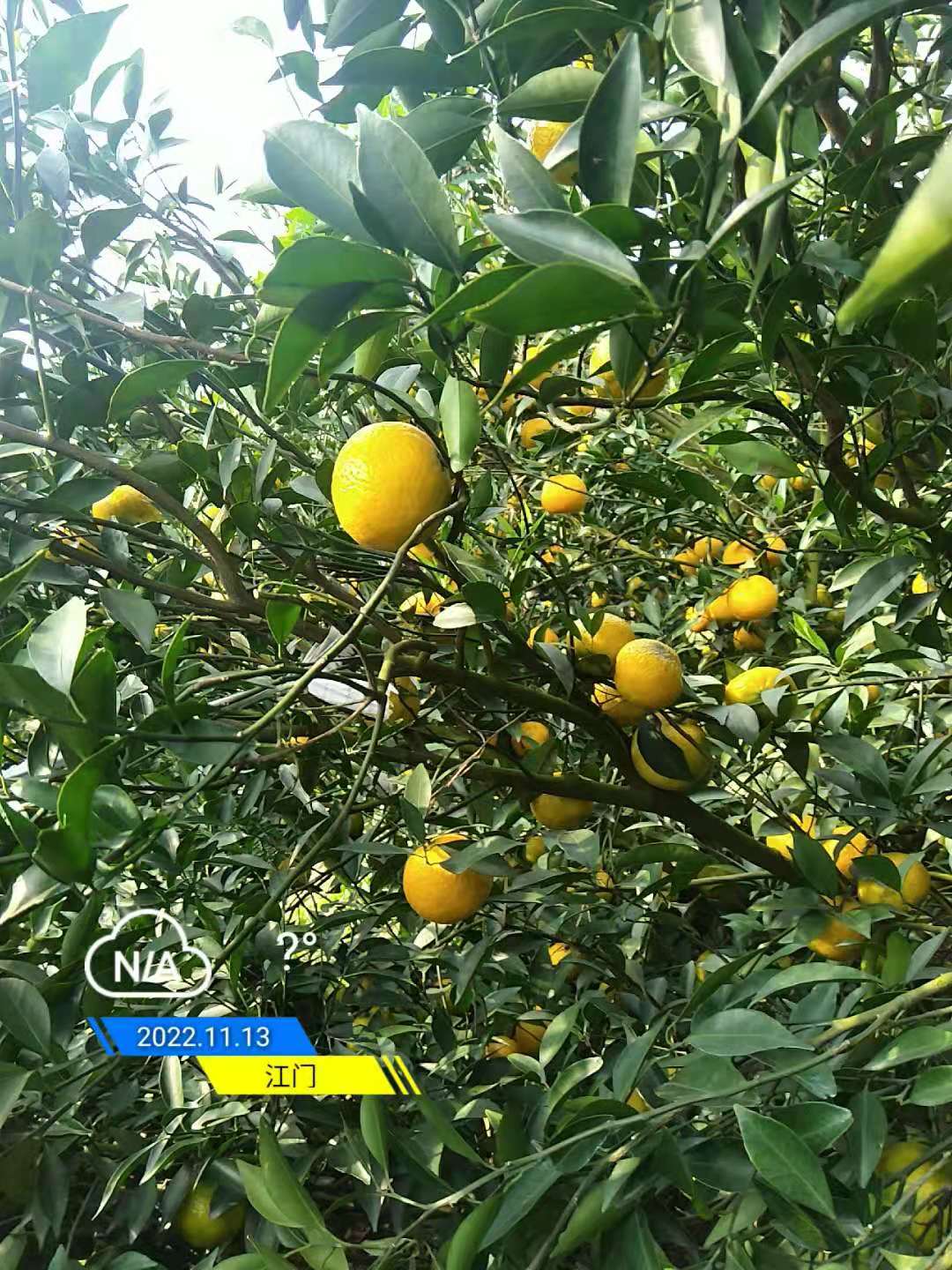 fecdca6b372bcfc457175c39b204325a.jpg fecdca6b372bcfc457175c39b204325a.jpg