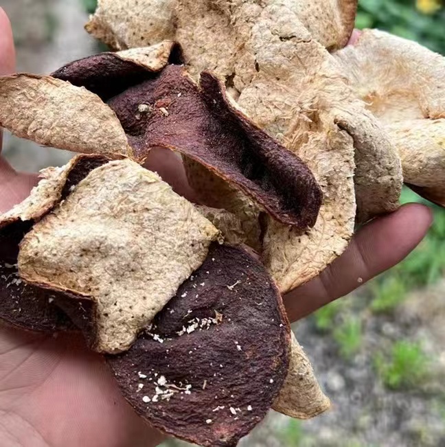 82a3764b8a6939abc93c8a16e7538a87.jpg 82a3764b8a6939abc93c8a16e7538a87.jpg